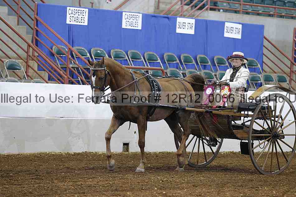 Proof Number 12r12_0066