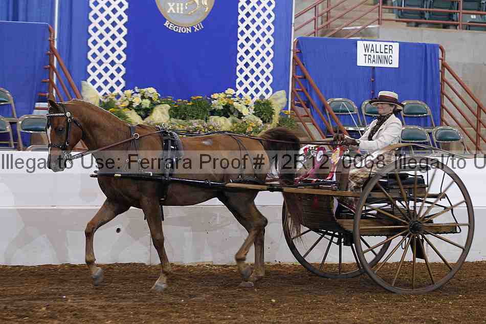 Proof Number 12r12_0068