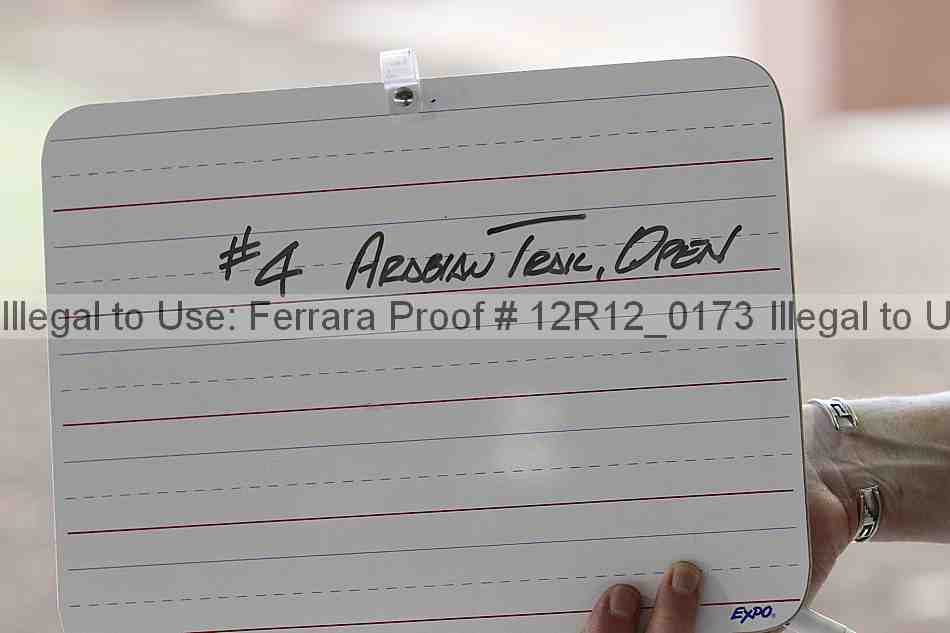 Proof Number 12r12_0173