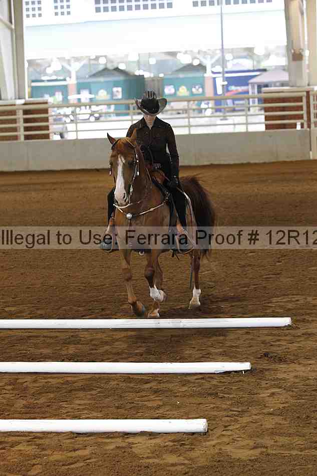 Proof Number 12r12_0175