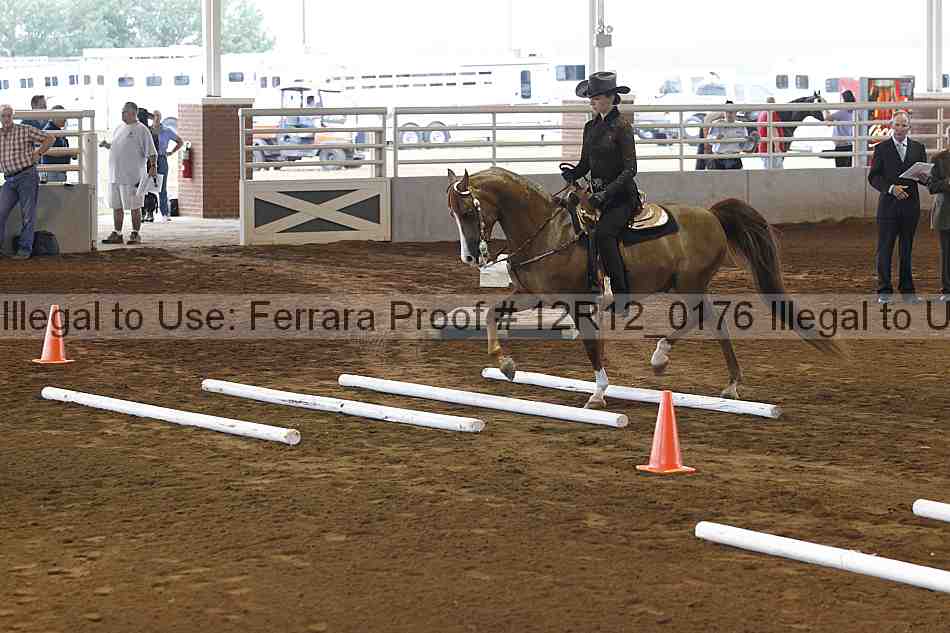 Proof Number 12r12_0176