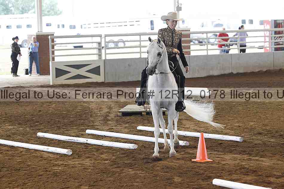 Proof Number 12r12_0178