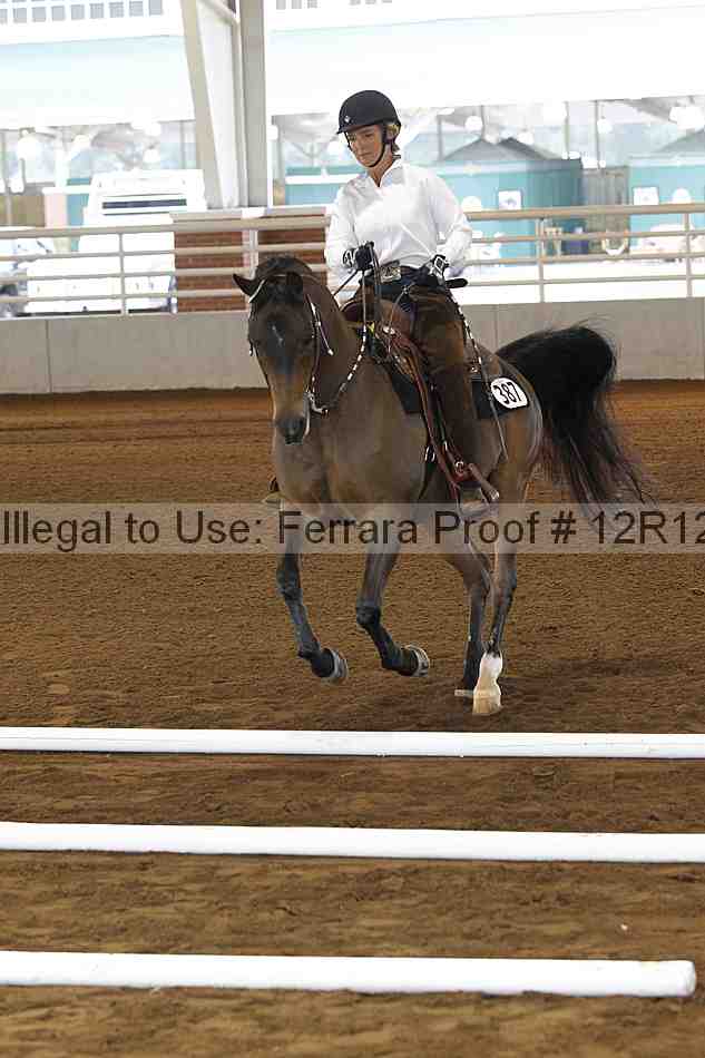 Proof Number 12r12_0186