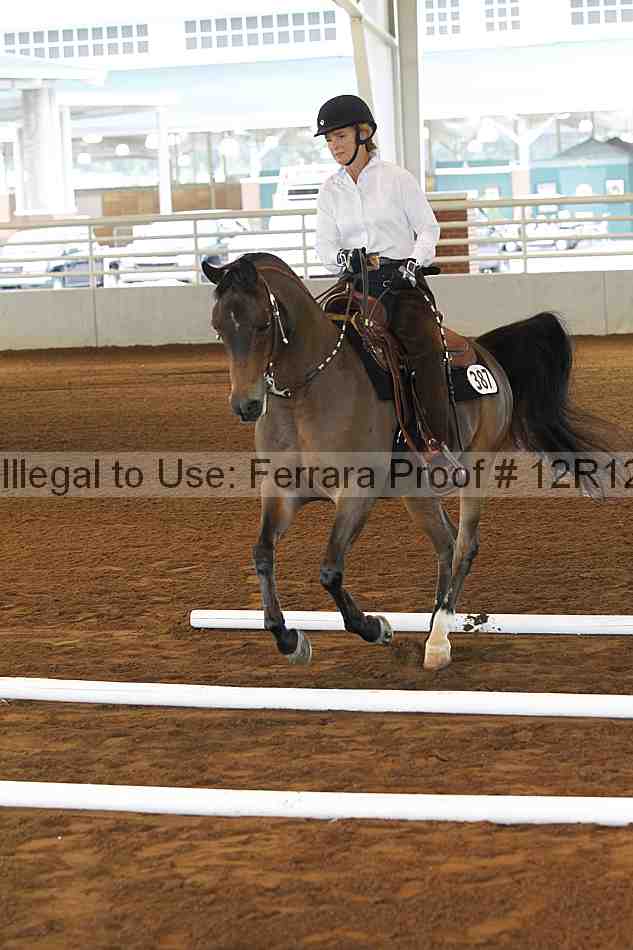 Proof Number 12r12_0187