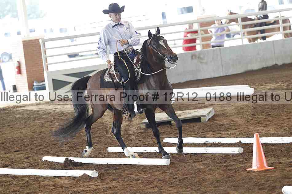 Proof Number 12r12_0188