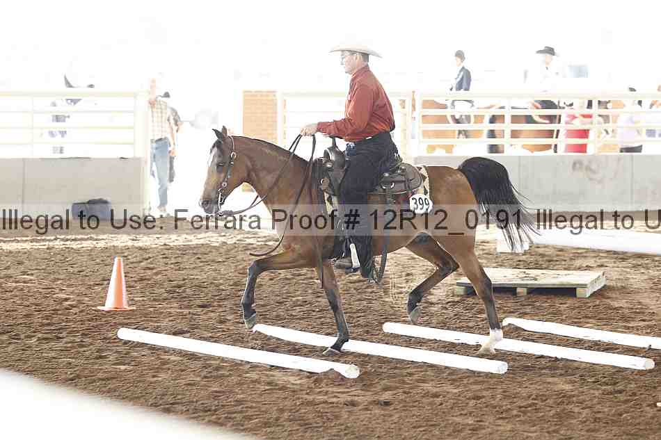 Proof Number 12r12_0191