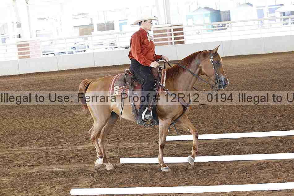 Proof Number 12r12_0194