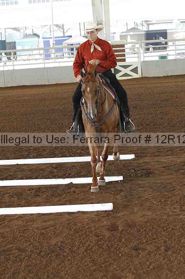 Proof Number 12r12_0196