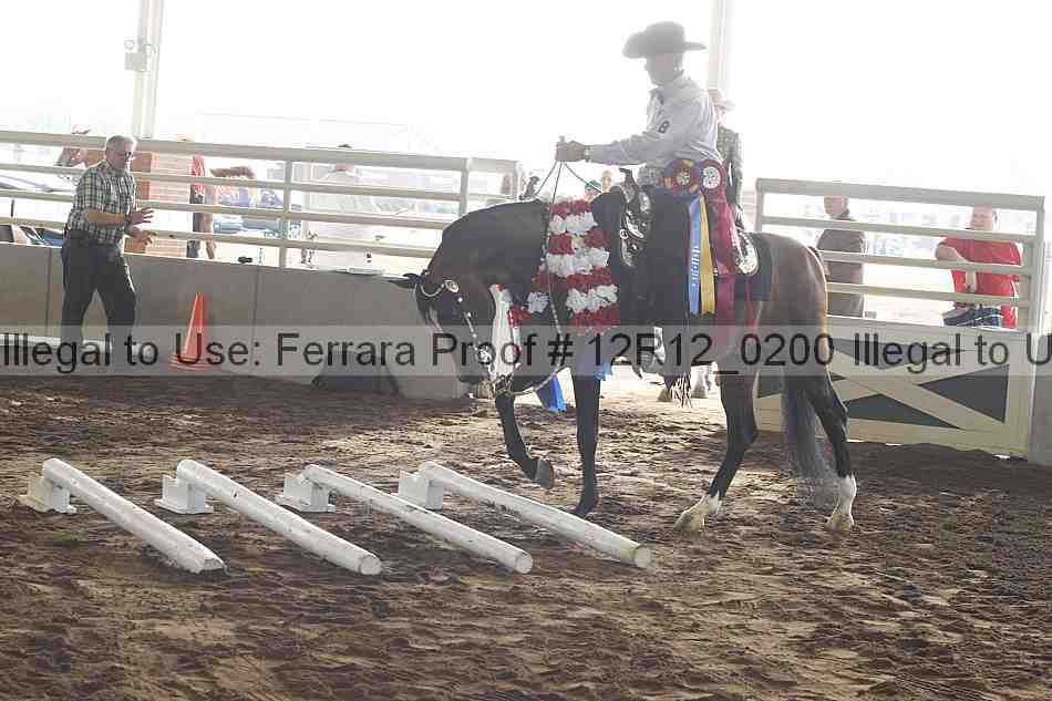 Proof Number 12r12_0200