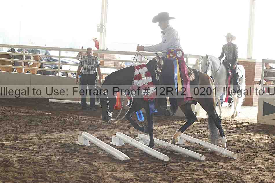 Proof Number 12r12_0201