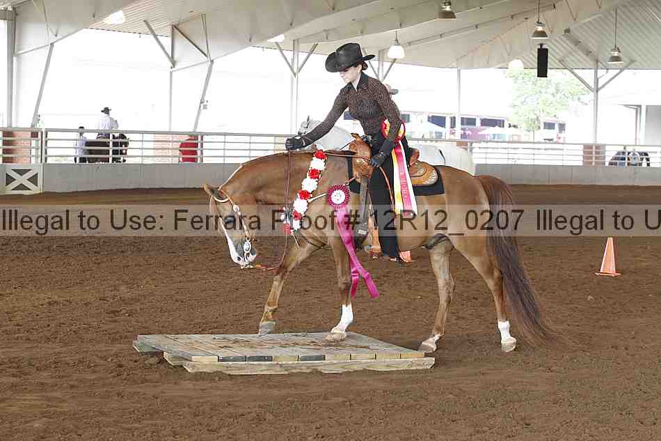 Proof Number 12r12_0207