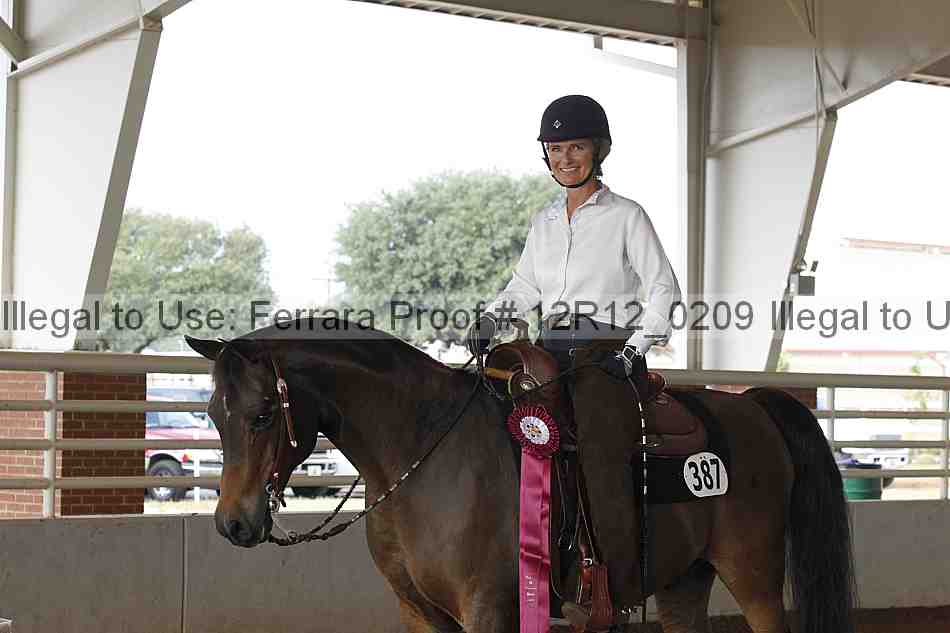 Proof Number 12r12_0209
