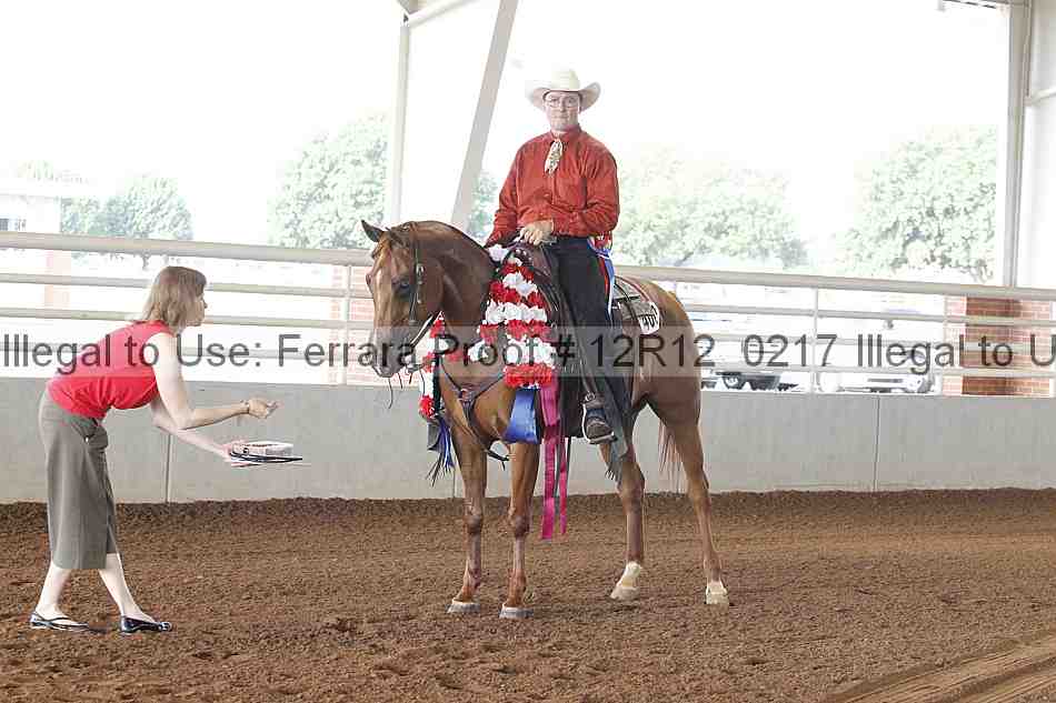 Proof Number 12r12_0217