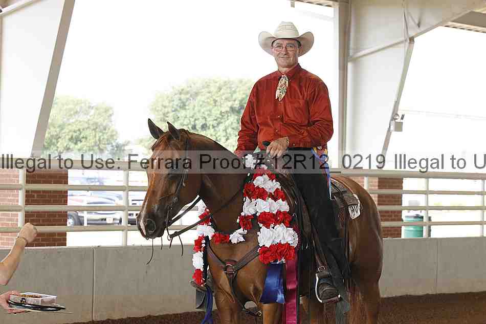 Proof Number 12r12_0219