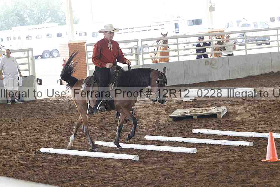Proof Number 12r12_0228