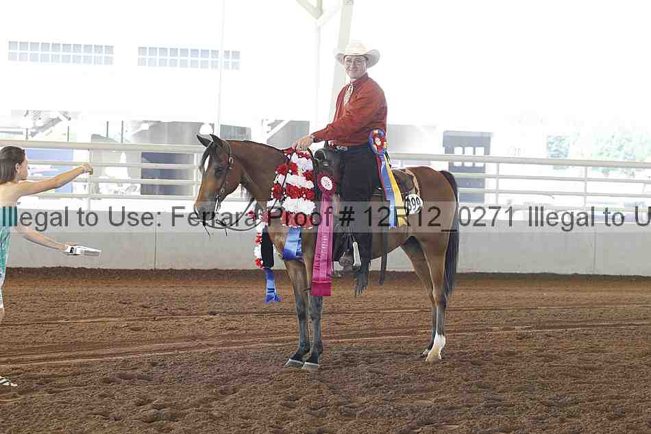 Proof Number 12r12_0271