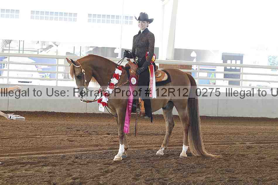 Proof Number 12r12_0275