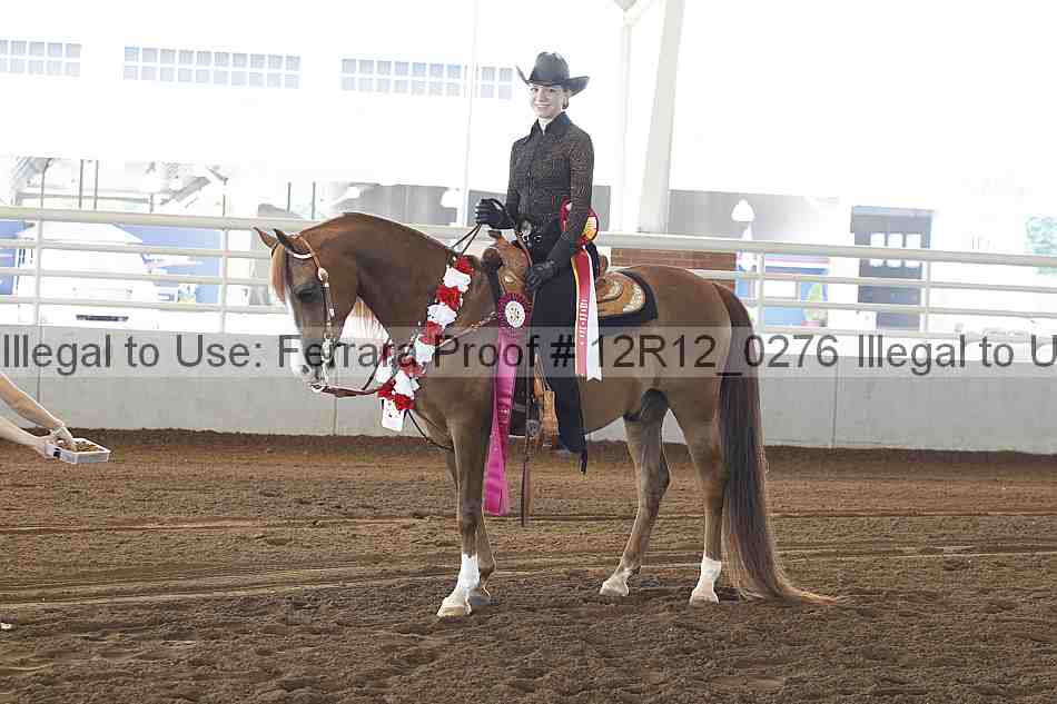 Proof Number 12r12_0276