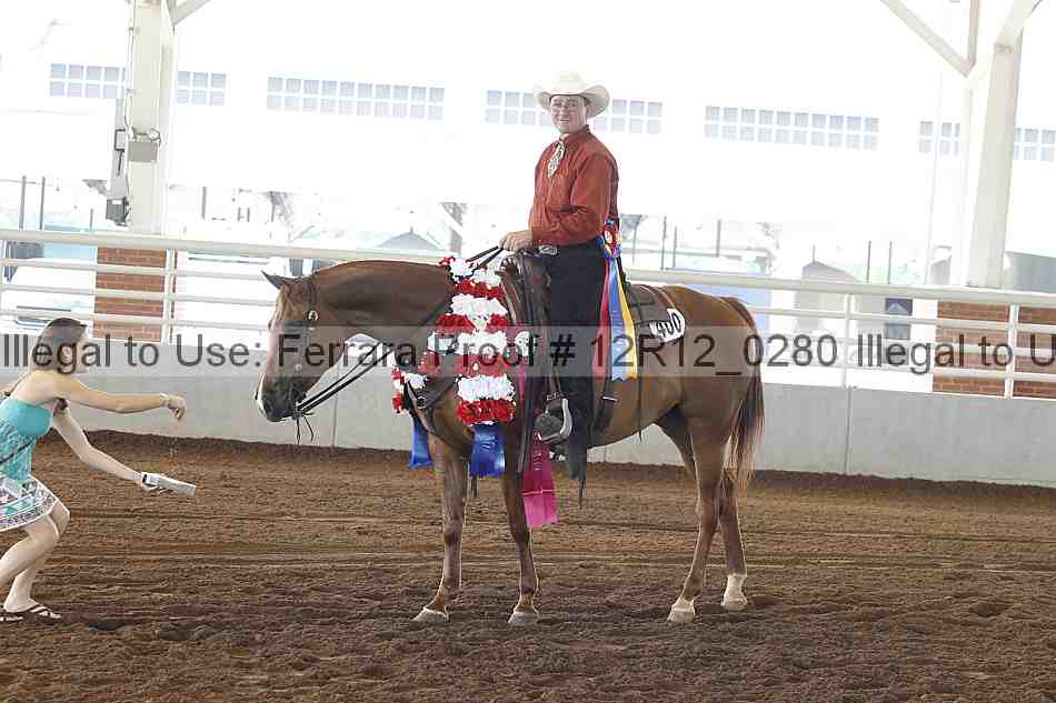 Proof Number 12r12_0280