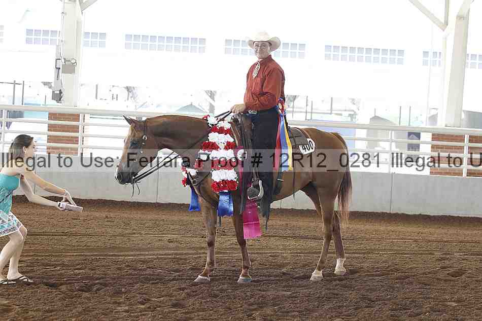 Proof Number 12r12_0281