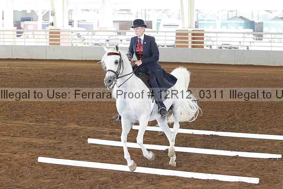 Proof Number 12r12_0311