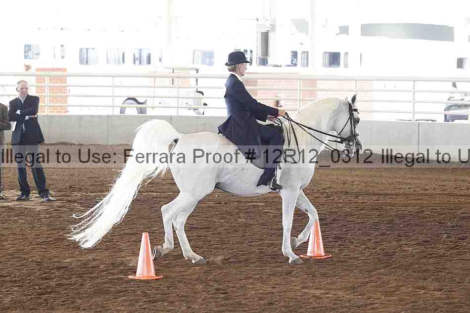 Proof Number 12r12_0312