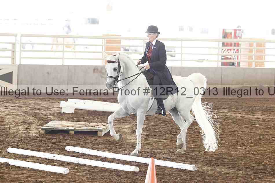 Proof Number 12r12_0313