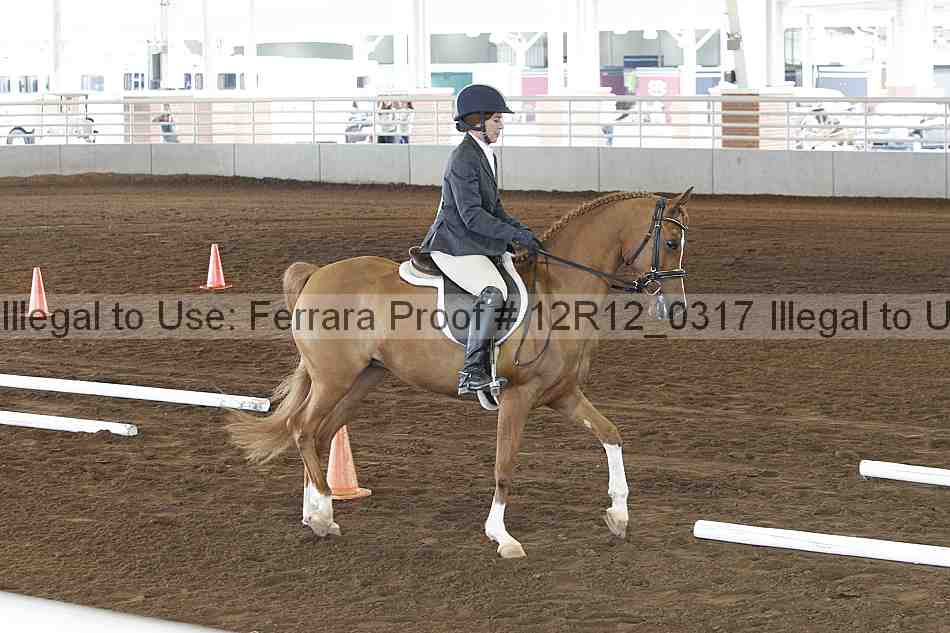 Proof Number 12r12_0317