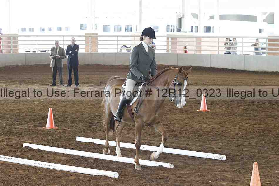 Proof Number 12r12_0323