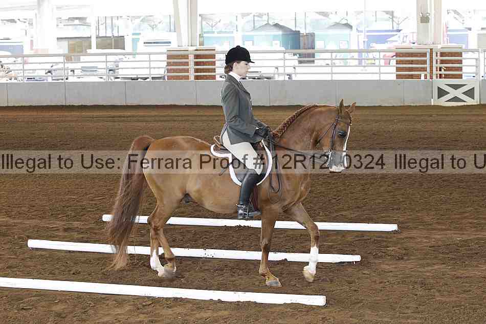 Proof Number 12r12_0324