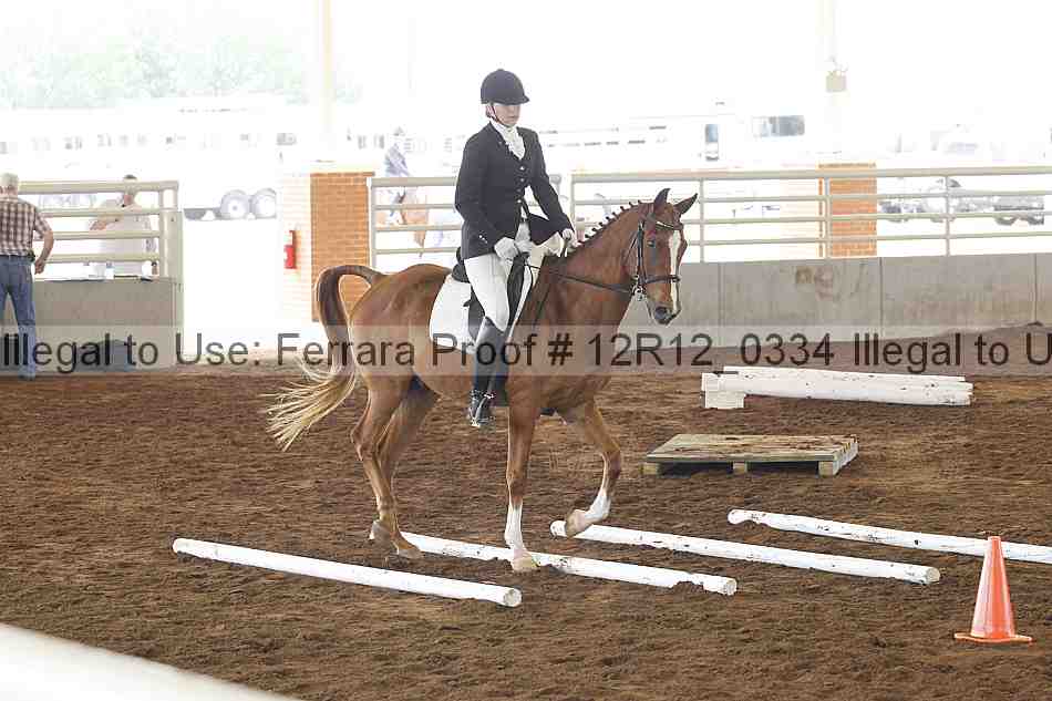Proof Number 12r12_0334
