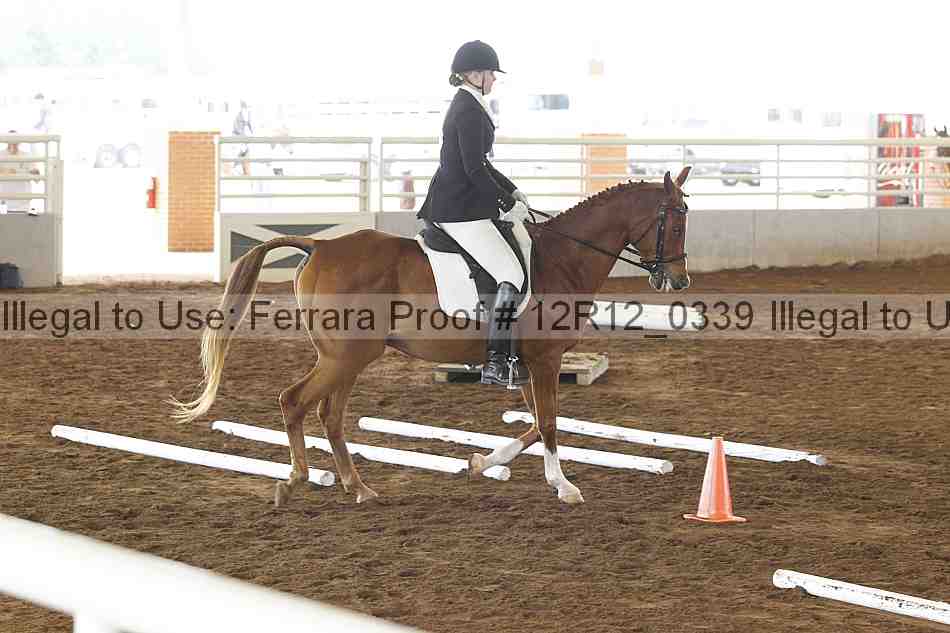 Proof Number 12r12_0339