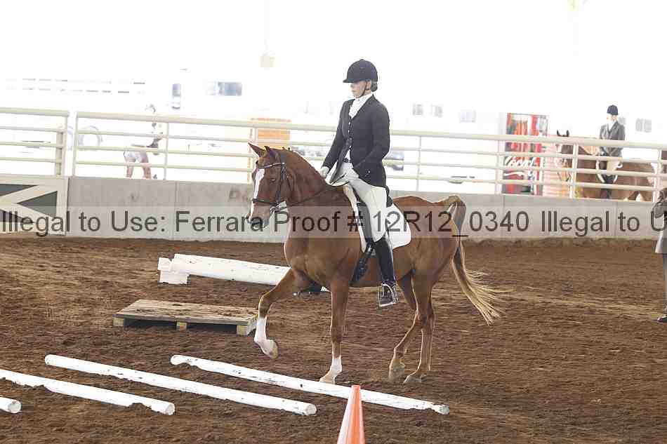 Proof Number 12r12_0340
