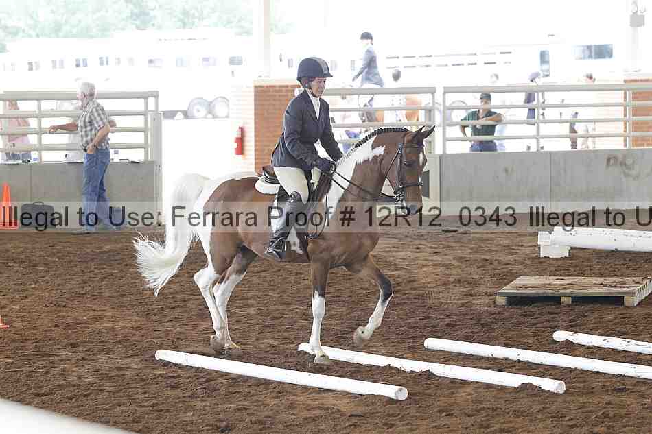 Proof Number 12r12_0343