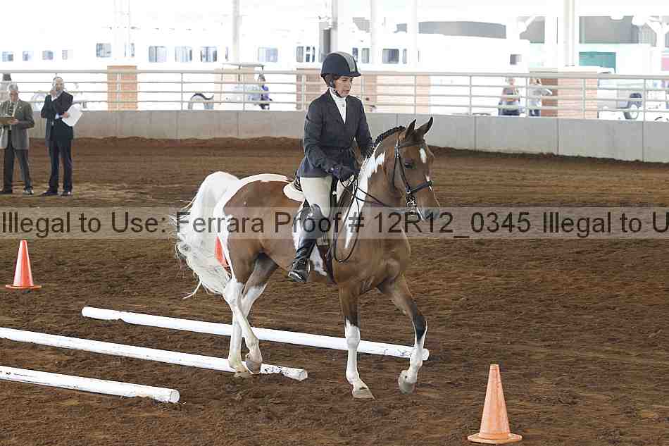 Proof Number 12r12_0345