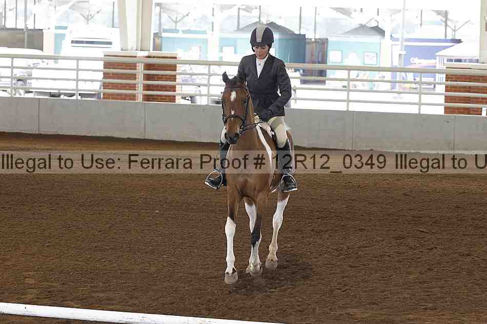 Proof Number 12r12_0349