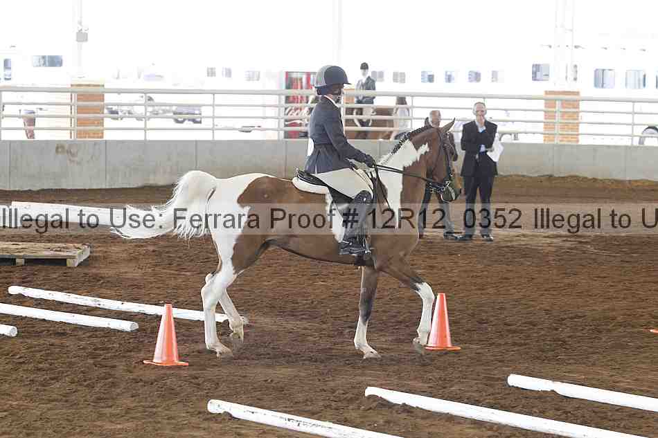 Proof Number 12r12_0352