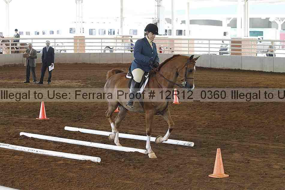 Proof Number 12r12_0360