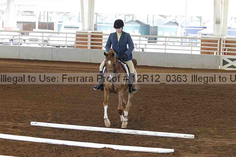 Proof Number 12r12_0363