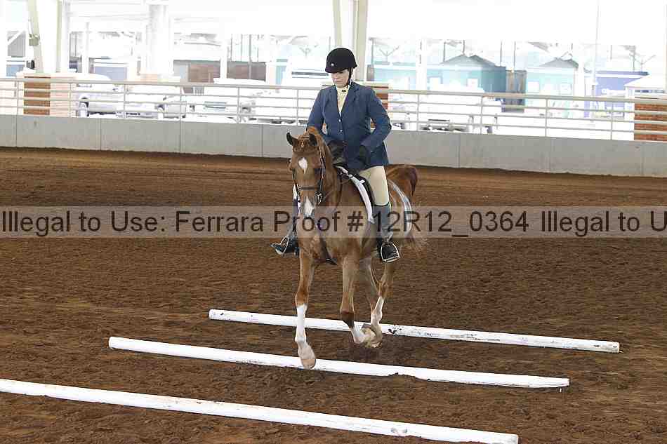 Proof Number 12r12_0364