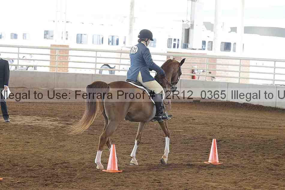 Proof Number 12r12_0365
