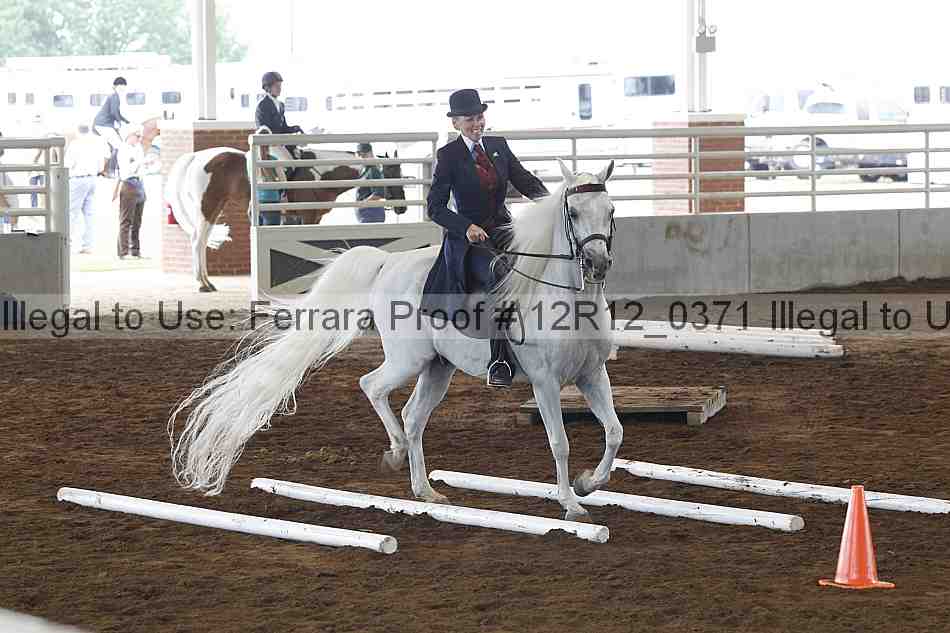 Proof Number 12r12_0371