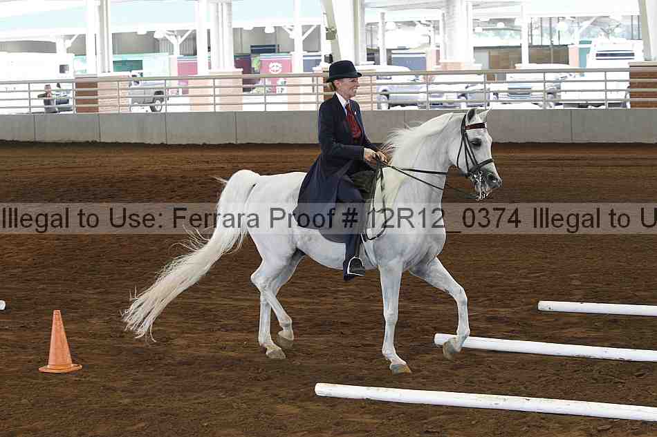 Proof Number 12r12_0374