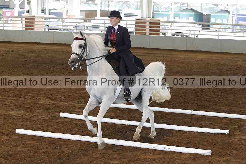 Proof Number 12r12_0377