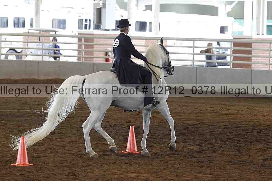 Proof Number 12r12_0378