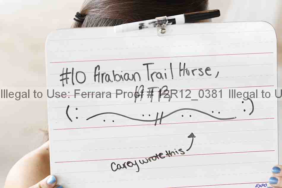 Proof Number 12r12_0381