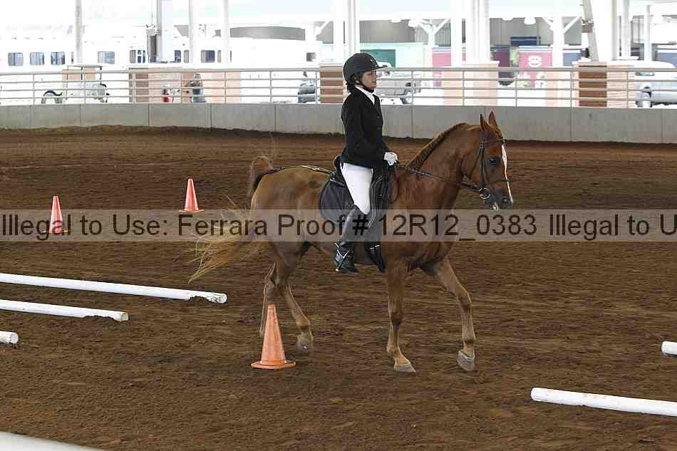 Proof Number 12r12_0383