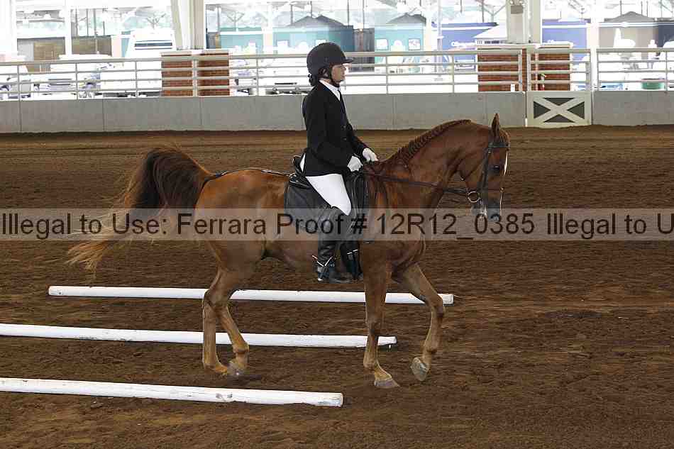 Proof Number 12r12_0385