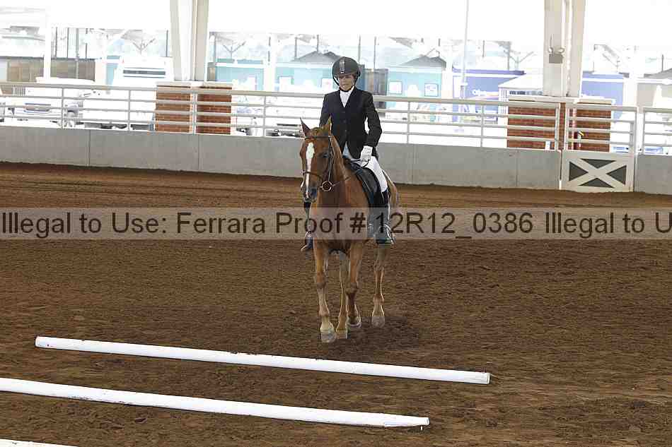 Proof Number 12r12_0386