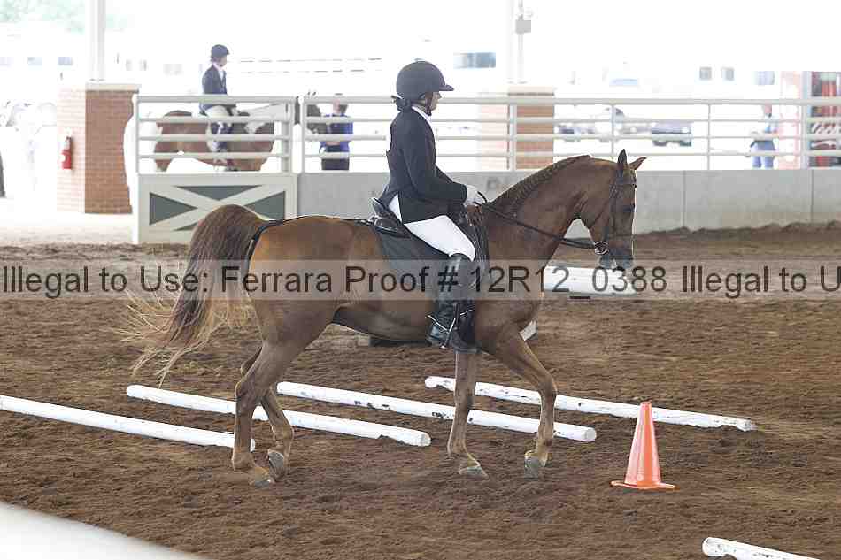 Proof Number 12r12_0388